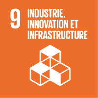 9. Industrie, innovation et infrastructure.